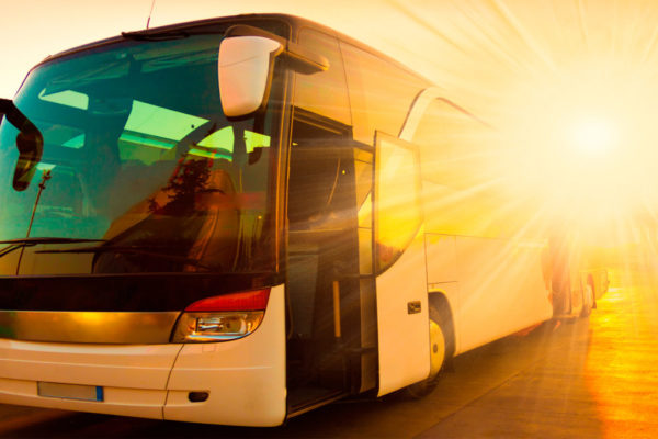 Con la patente D puoi guidare autobus e veicoli per trasporto persone oltre i 9 posti