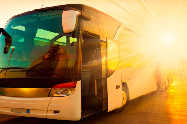 Con la patente D puoi guidare autobus e veicoli per trasporto persone oltre i 9 posti